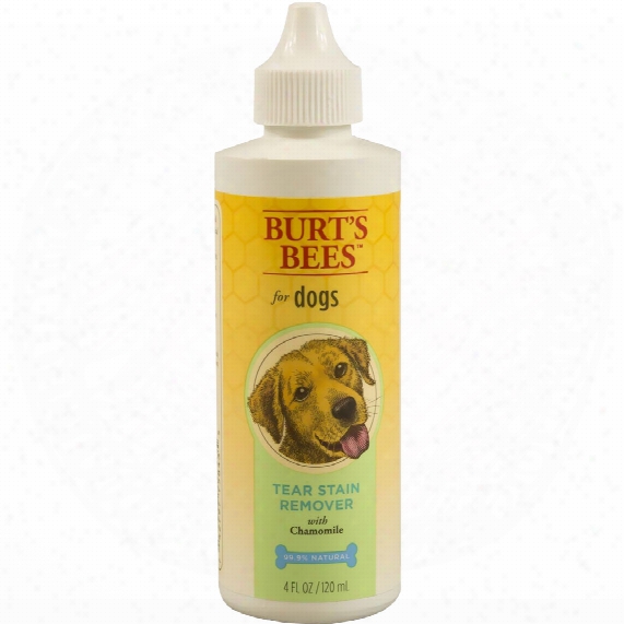 Burt's Bees Tear Stain Remover For Dogs (4 Fl Oz)