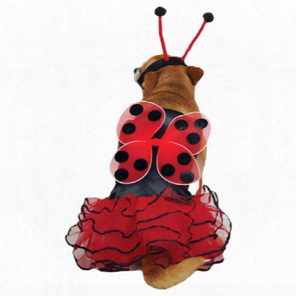 Casual Canine Lucky Bug Costume Red - Alrge
