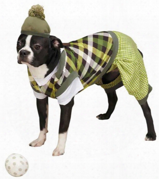 Casual Canine Putter Pup Costume - Small