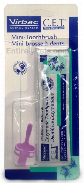 C.e.t. Mini Toothbrush