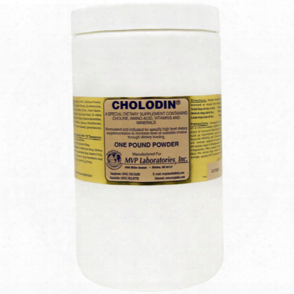 Cholodin Canine Powder (1 Lb)