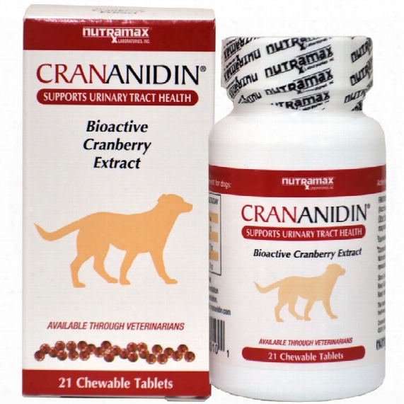 Crananidin Urinary Tract Support (21 Chewable Tablets)