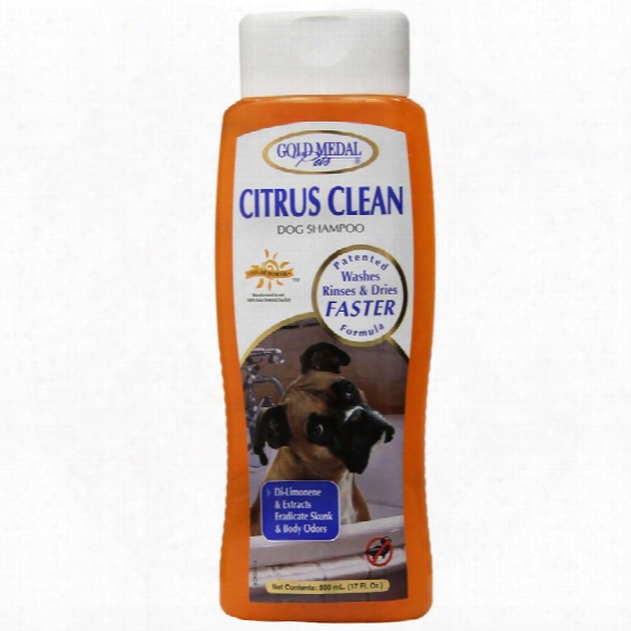 Gold Medal Citrus Clean Dog Shampoo With Cardoplex (17 Oz)