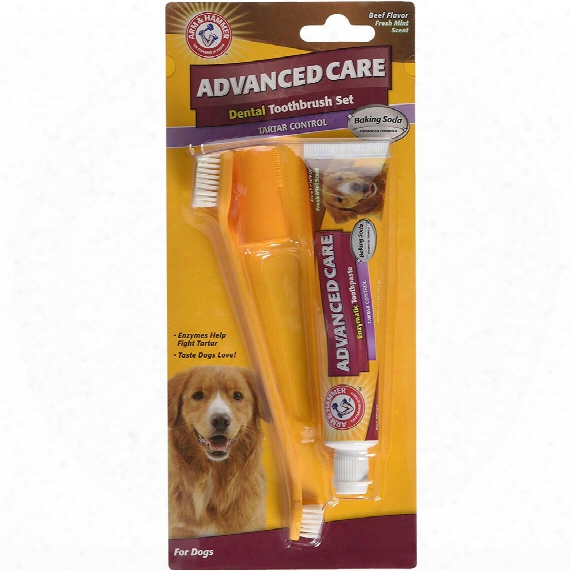 Arm & Hammer Dental Toothbrush Set For Dogs - Beef Flavor