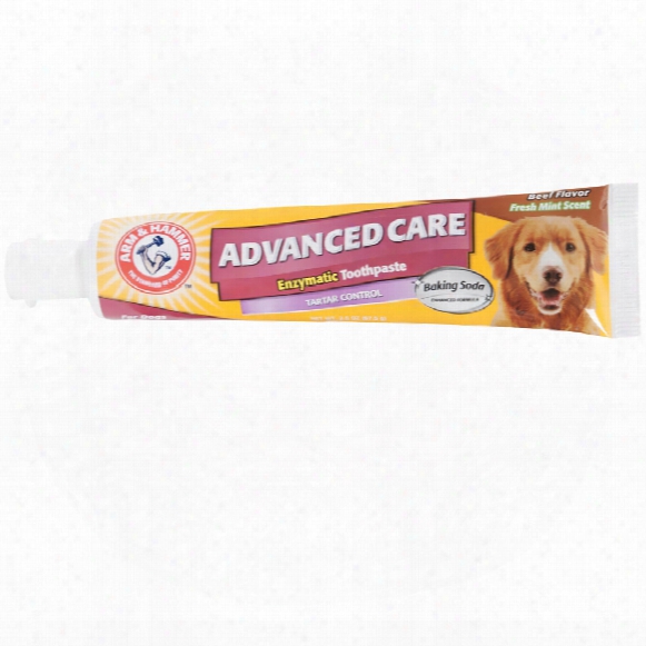 Arm & Hammer Enzymatic Toothpaste For Dogs - Beef Flavor (2.5 Oz)