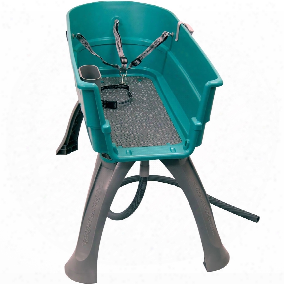 Booster Bath Elevated Pet Bathing Extra Large - Teal (50&quot; X 21.25&quot; X 15&quot;)