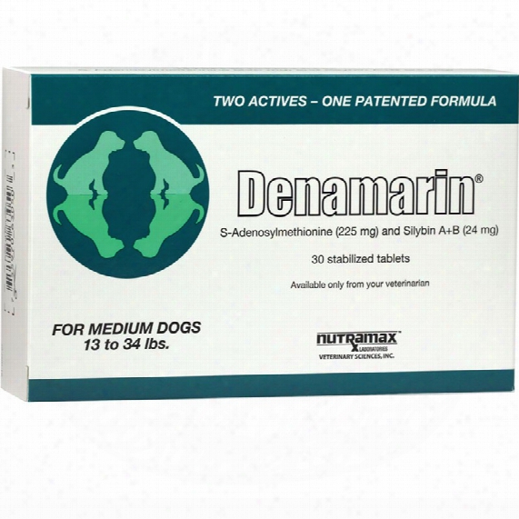 Denamarin For Medium Dogs 1 3 To 34 Lbs. (30 Tabs)