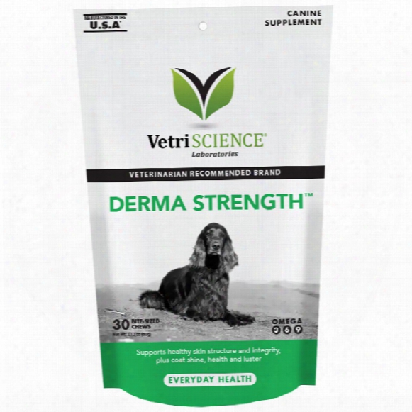 Derma Strength Skin & Coat Care For Dogs (30 Bite-sized Chews)