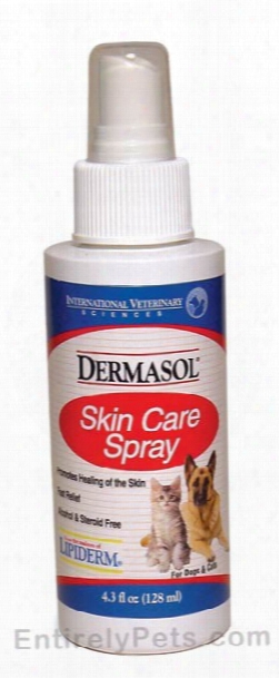 Dermasol Skin Care Spray For Cats & Dogs (4.3 Oz)