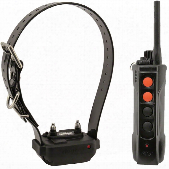 Dogtra Edge Rt 1-mile Expandable Remote Trainer - Up To 3 Dogs