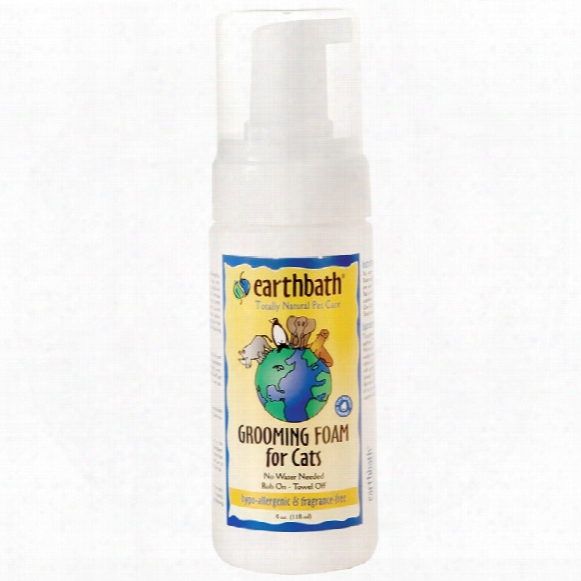 Earthbath Hypo-allergenic Grooming Foam For Cats (4 Oz)