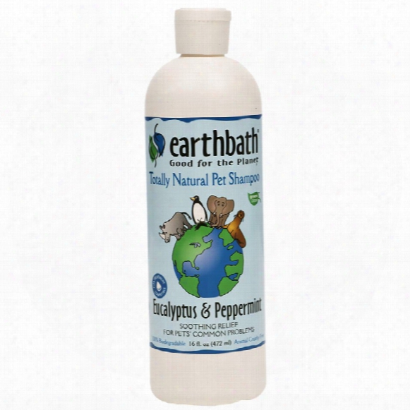 Earthbath Natural Pet Shampoo - Eucalyptus & Peppermint (16 Oz)