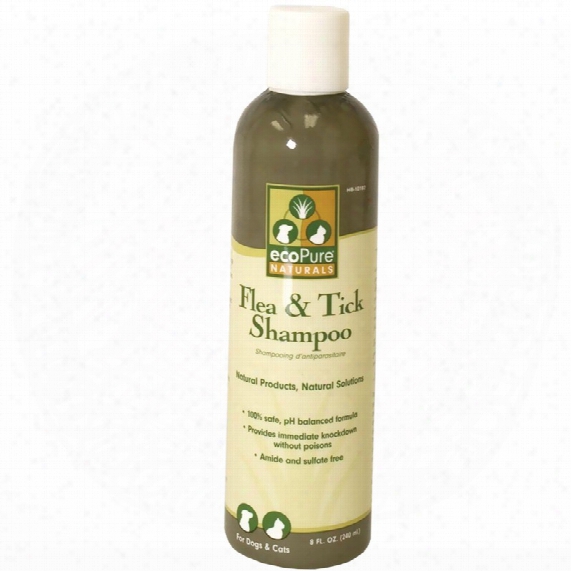 Ecopure Flea & Tick Shampoo (8 Oz)