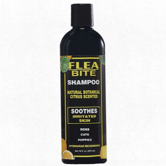Eqyss Flea-bite Shampoo (16 Fl Oz)