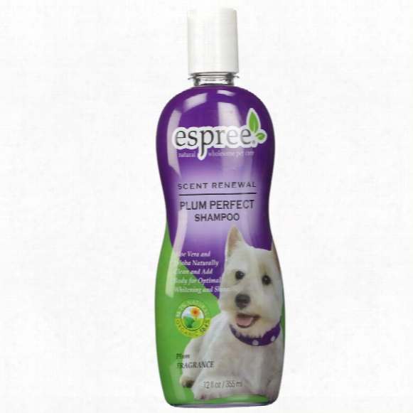 Espree Plum Perfect Shampoo (12 Fl Oz)