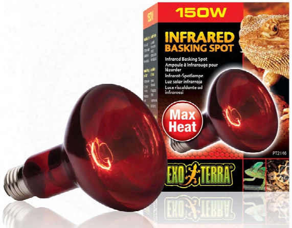 Exo Terra Heat-glo Infrared Spot Lamp (150 W)