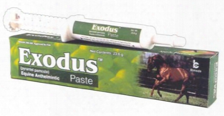 Exodus (pyrantel Pamoate) Paste Equine Anthelmintic (23.6 G)