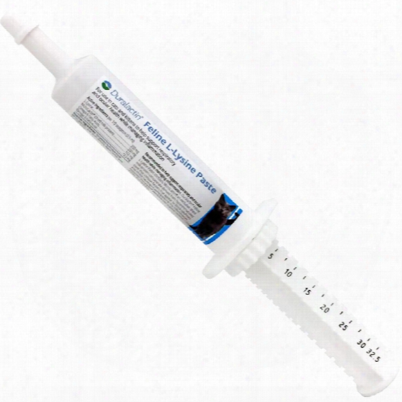Feline L-lysine Syringe - 32.5 Ml