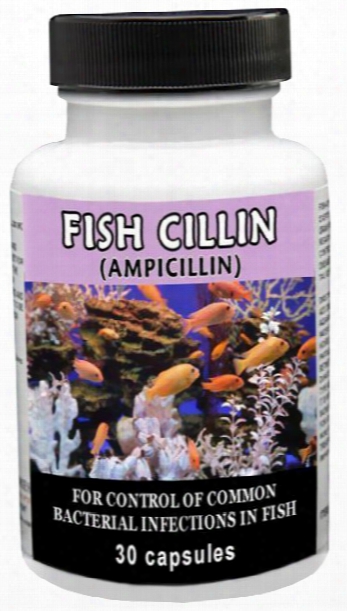 Fish Cillin (ampicillin) 250mg (30 Tablets)