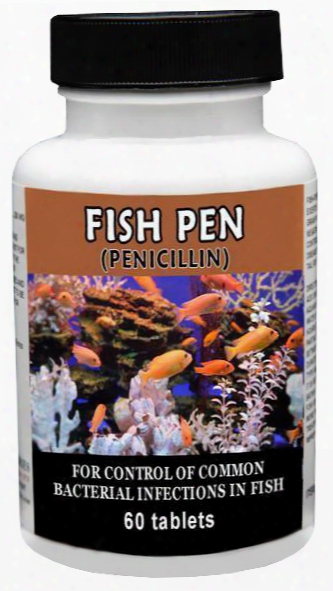 Fish-pen (penicillin) 250mg (60 Tablets)