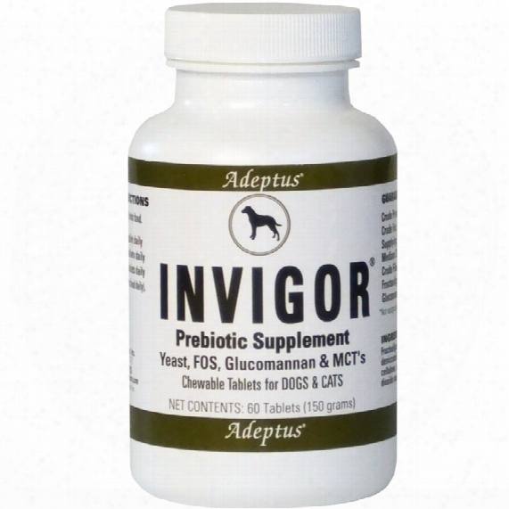 Adeptus Invigor Prebiotic Digestive Supplement For Pets (60 Tablets)