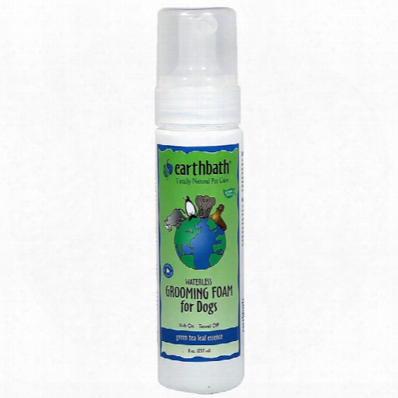 Earthbath Green Tea Waterless Grooming Foam For Dogs (7.5 Oz)
