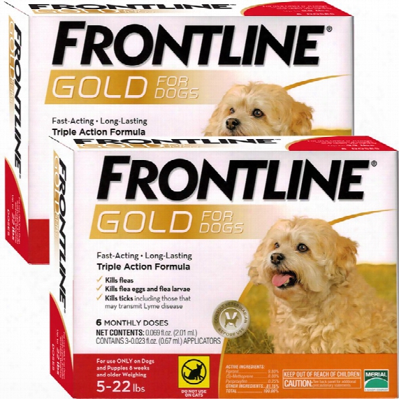 Frontline Gold For Dogs 5-22 Lbs - Orange (12 Month)