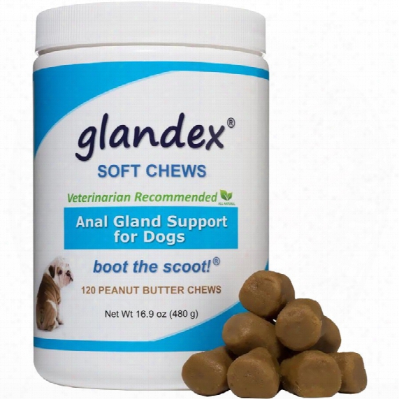 Glandex Peanut Butter Soft Chews For Dogs (120 Count)