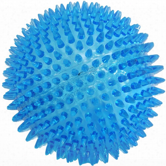 Gnawsome Squeaker Ball For Dogs (4.5&quot;)