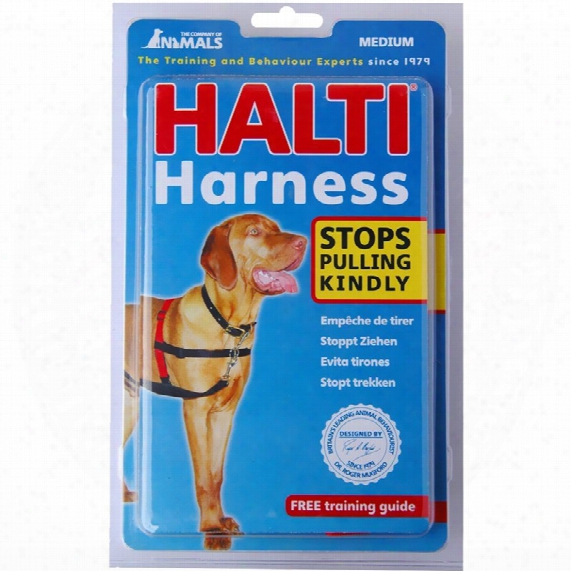 Halti Training Harness - Medium (black & Red)