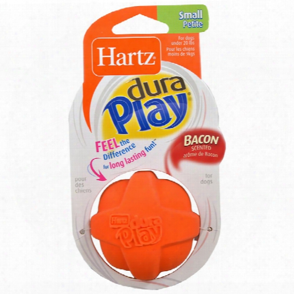 Hartz Duraplay Ball Dog Toy - Small (assorted)