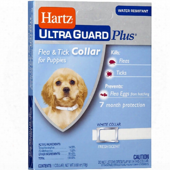 Hartz Ultraguard Plus Flea & Tick Collar - Puppy