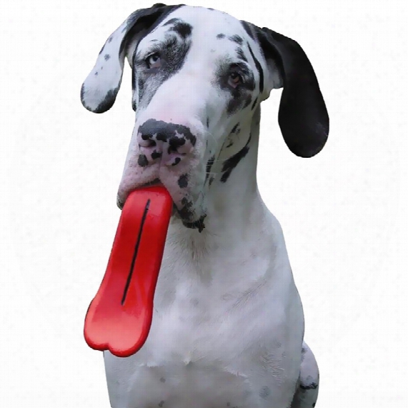 Humunga Tongue Large For Medium/ Large /xlarge Dogs (over 40 Lbs.)