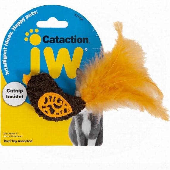 Jw Pet Cataction Bird