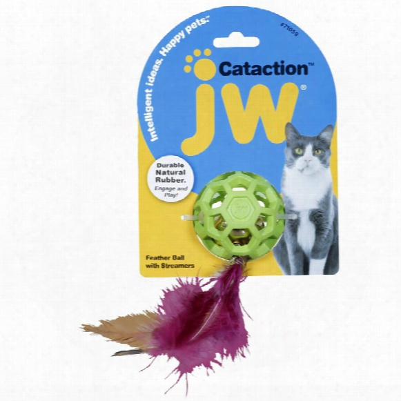 Jw Pet Cataction Feather Ball With Bell Cat Toy