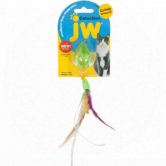 Jw Pet Cataction Mouse With Feather Tail