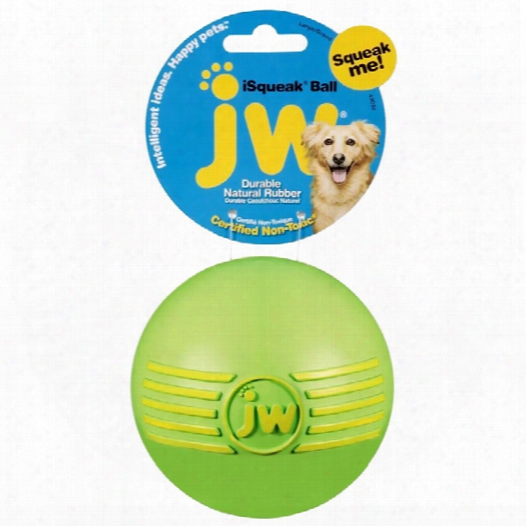 Jw Pet Isqueak Dog Ball - Large (assorted)