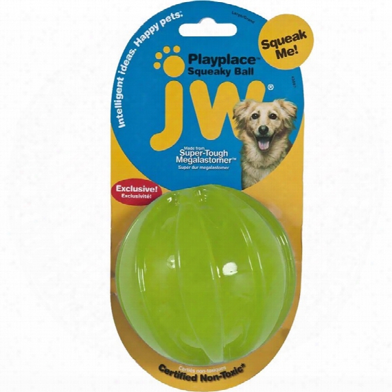 Jw Pet Playplace Squeaky Ball - Large
