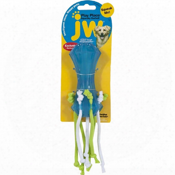 Jw Pet Playplace Squeaky Dumbell With Streamers