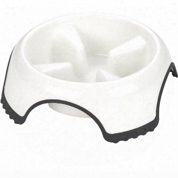 Jw Pet Skid Stop Slow Feed Bowl (large) - Assorted