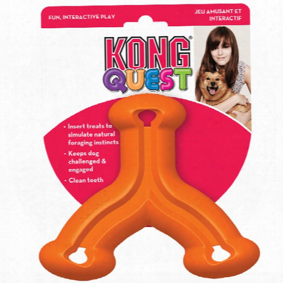 Kong Quest Wishbone - Large (assorted)