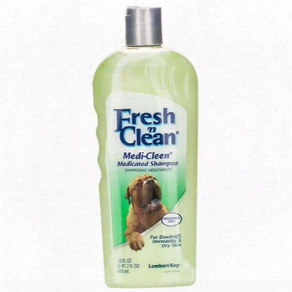 Lambert Kay Fresh 'n Clean Medi-clean Medicated Shampoo - Fragrance Free (18 Oz)