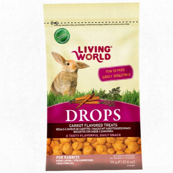 Living World Rabbit Treat (2.6 Oz) - Carrot