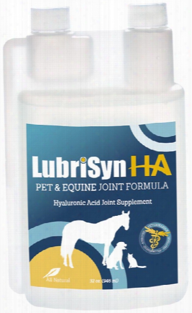 Lubrisyn Hyaluronan Joint Supplement (32 Oz)