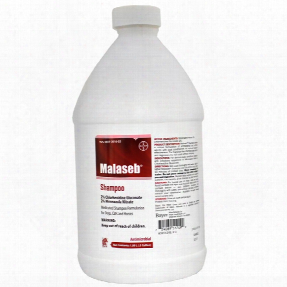 Malaseb Shampoo (1/2 Gallon)