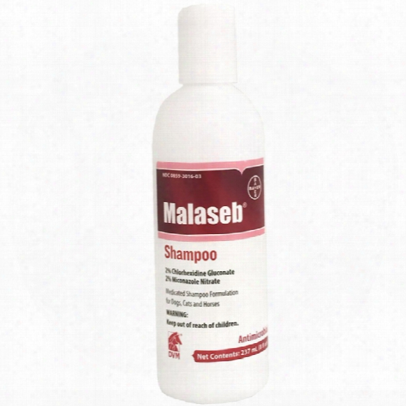 Malaseb Shampoo (8 Oz / 237 Ml)