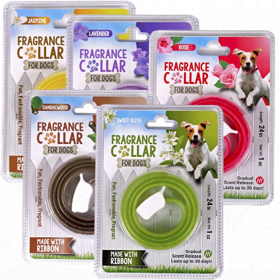 Mascot Fragrance Collar For Dogs - Assorted (5 Pack)