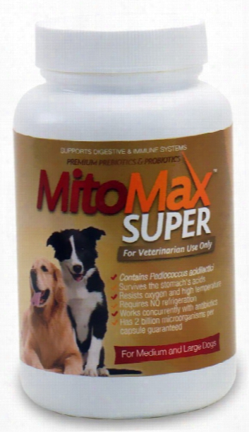 Mitomax Super Probiotics For Dogs Medium/large (90 Caps)