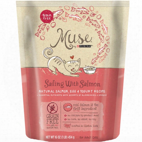 Muse Salmon, Egg & Yogurt Cat Food Dry (16 Oz)
