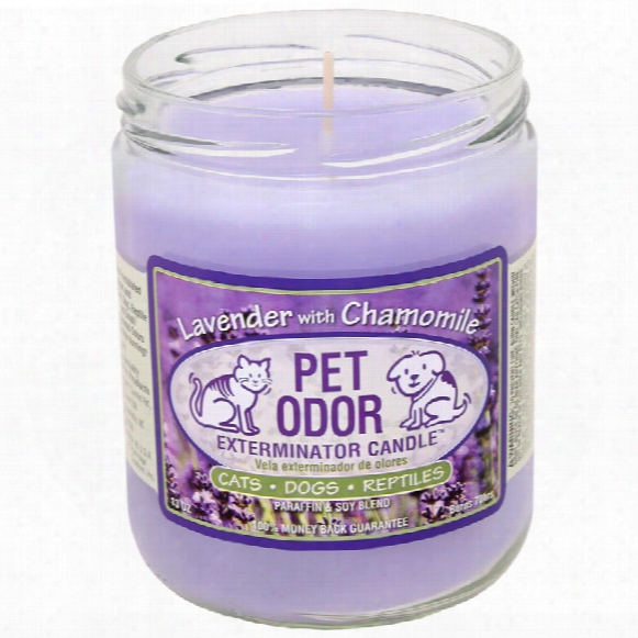 Pet Odor Exterminator Candle - Lavender Wtih Chamomile Jar (13 Oz)